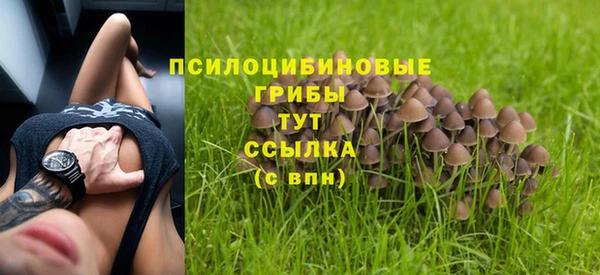 трава Мегион