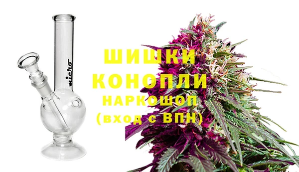 трава Мегион