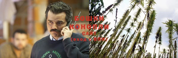 прущие крисы Михайлов