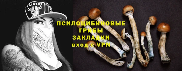 трава Мегион