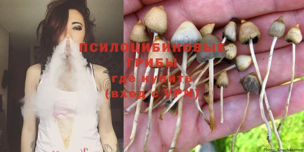 мяу мяу мука Медногорск